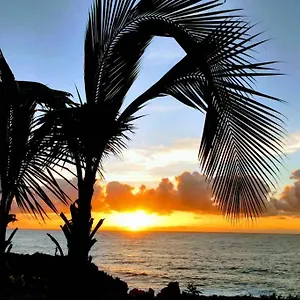  Apartment Paradise Palms